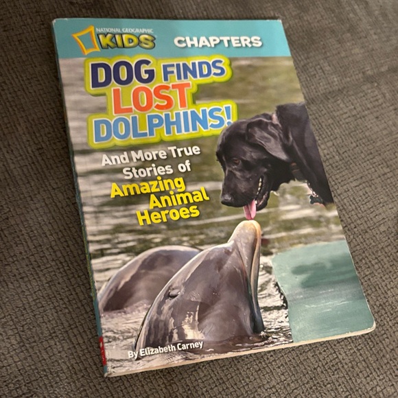 Children's Chapter   Book Collection - Picture 3 of 5